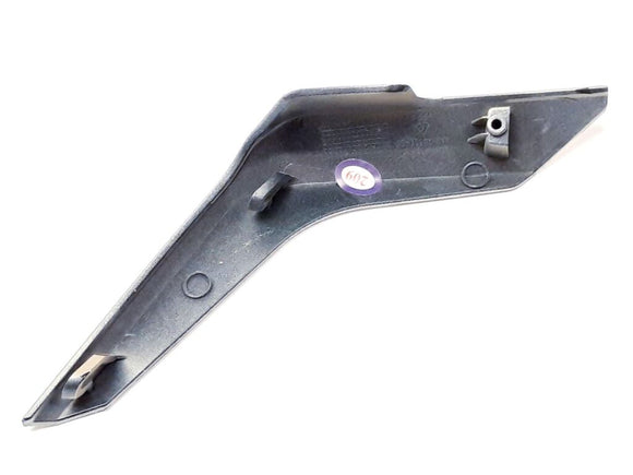 FRONT COVER TRIM STRIP RH, PAINTING GOLD