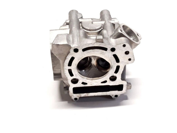 CYLINDER HEAD ASSY