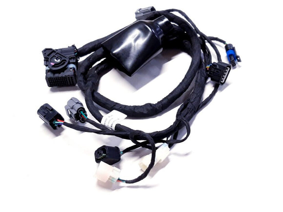 WIRING HARNESS FOR EFI